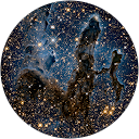 F. MARTIN profile picture