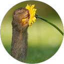 Evelyn Orellana duarte profile picture